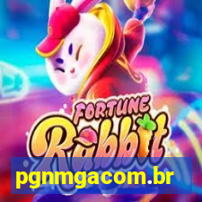 pgnmgacom.br