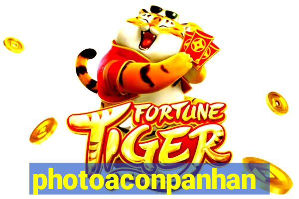 photoaconpanhante