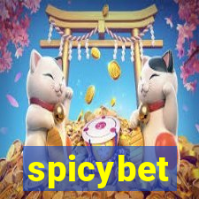 spicybet-2.com