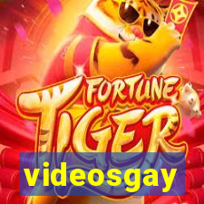 videosgay