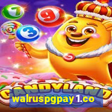 walruspgpay1.com